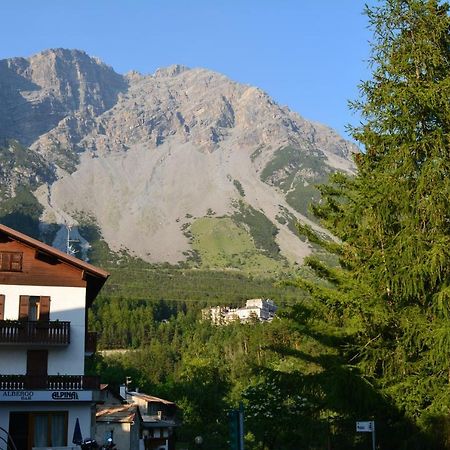 Albergo - B&B Alpina Premadio Kültér fotó