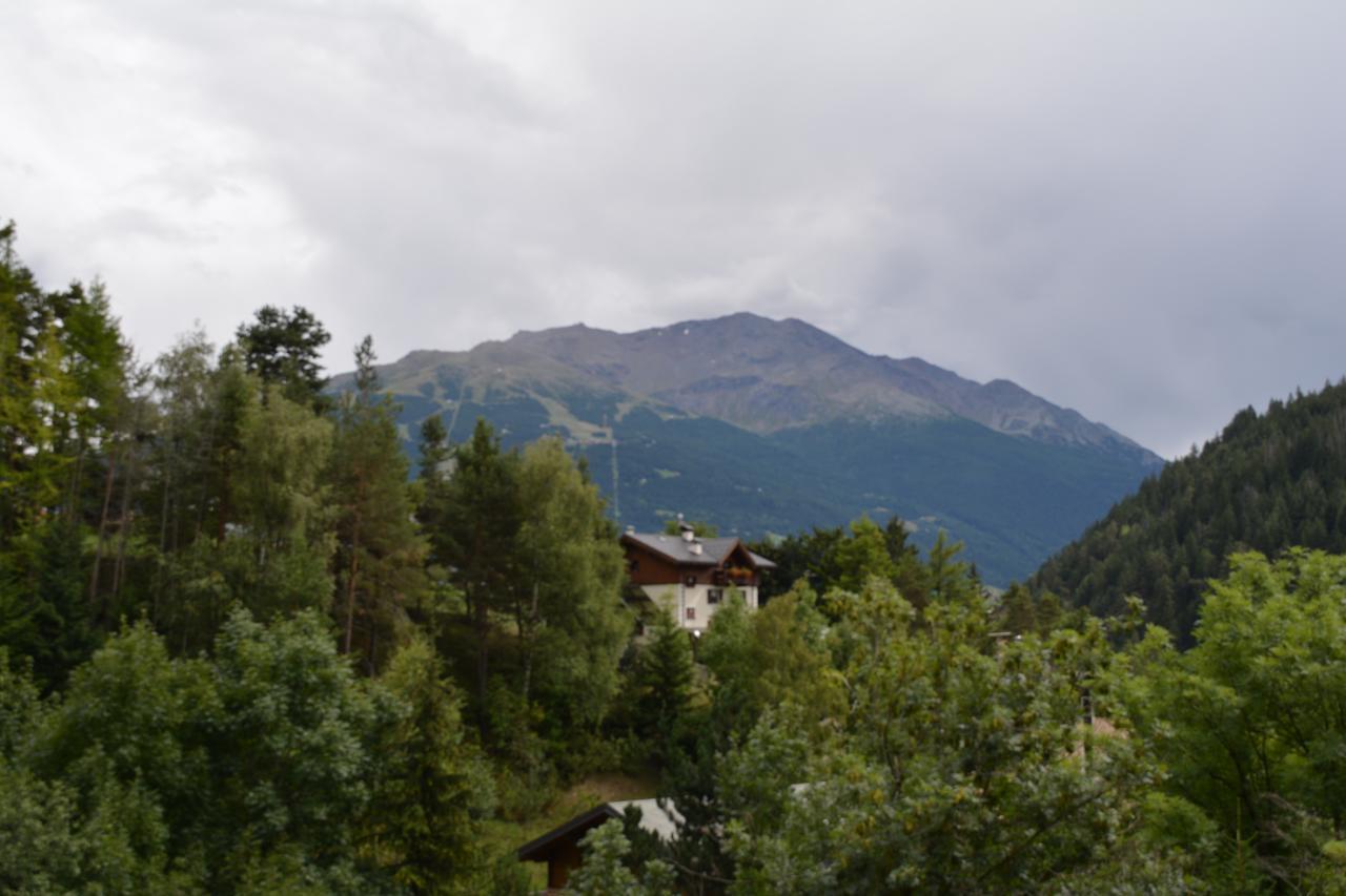 Albergo - B&B Alpina Premadio Kültér fotó
